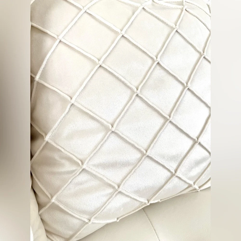 Set of 2 throw pillows 18x18